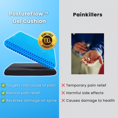 PostureFlow™ – Pain Relief Cushion